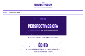 perspectiveCFA